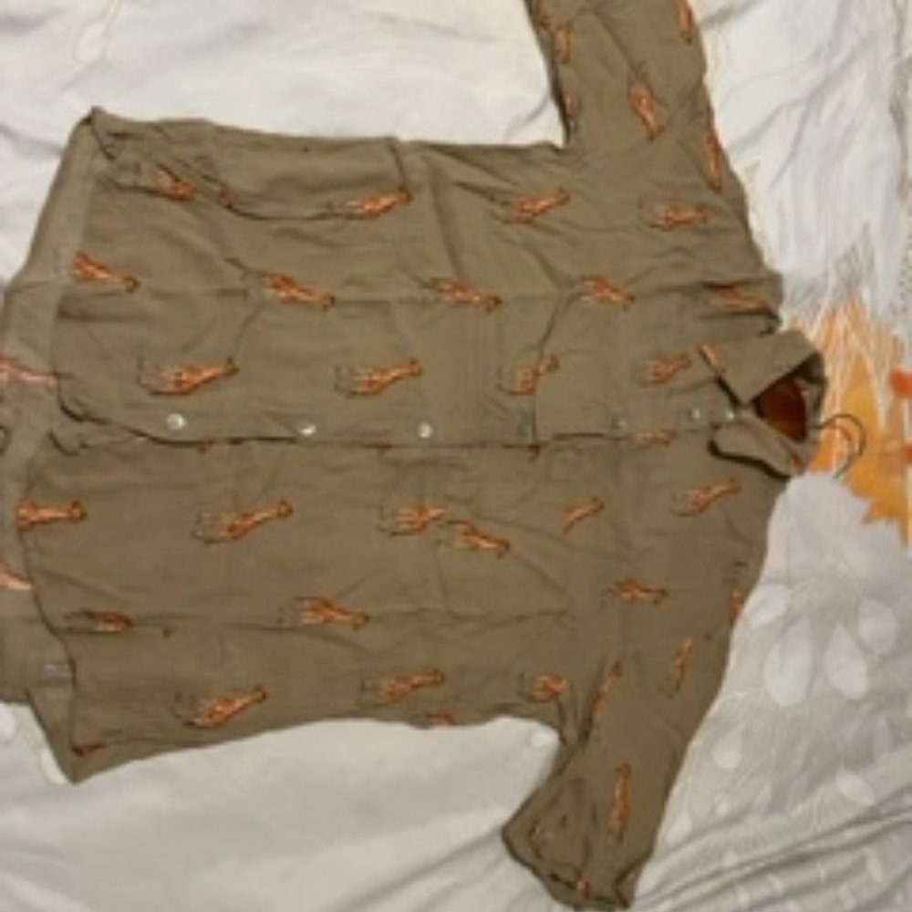 Zara loose fitted giraffe print short sleeve top.